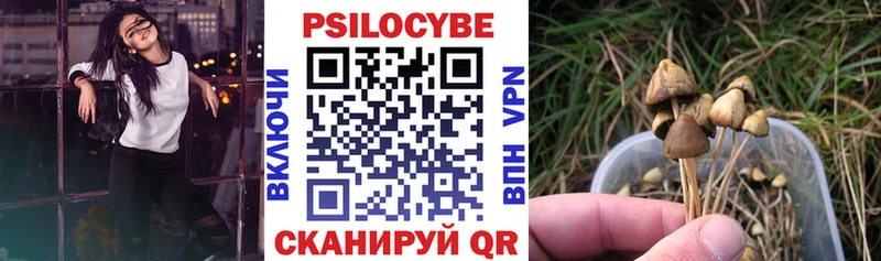 Псилоцибиновые грибы ЛСД Избербаш