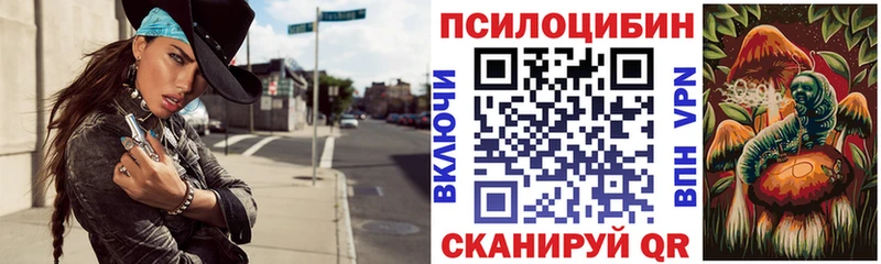 Псилоцибиновые грибы MAGIC MUSHROOMS  как найти   Избербаш 